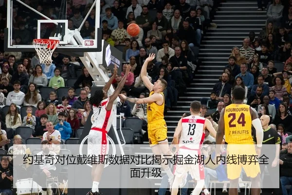 约基奇对位戴维斯数据对比揭示掘金湖人内线博弈全面升级